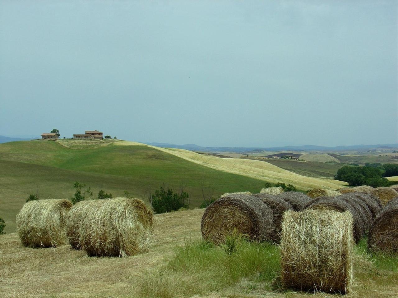Tenuta Di Corsano Монтерони-д'Арбия Экстерьер фото