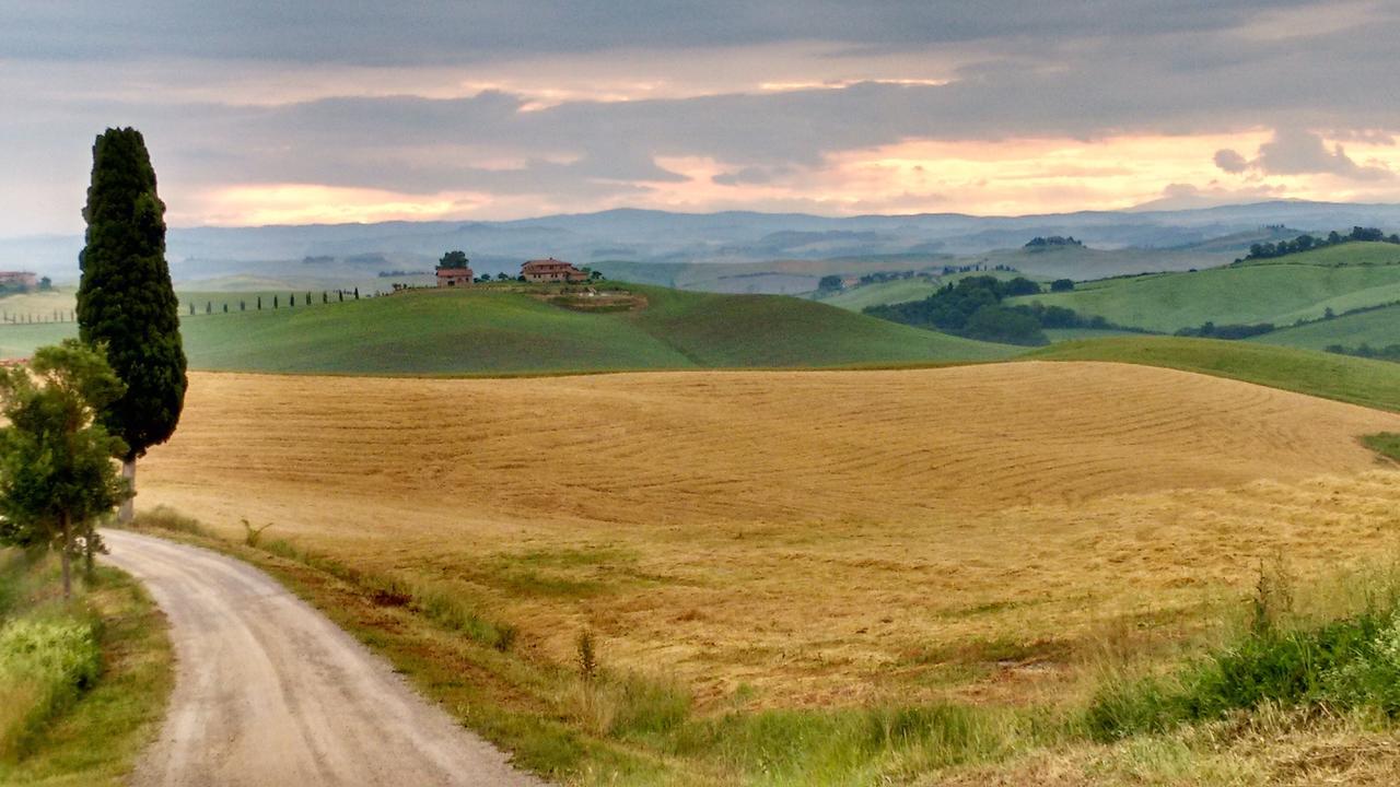 Tenuta Di Corsano Монтерони-д'Арбия Экстерьер фото